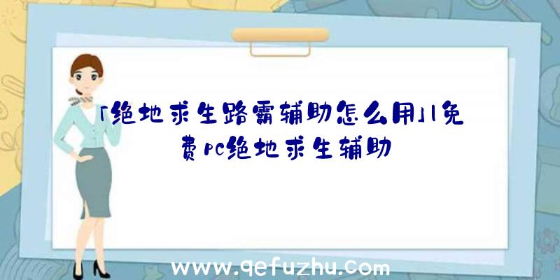 「绝地求生路霸辅助怎么用」|免费pc绝地求生辅助